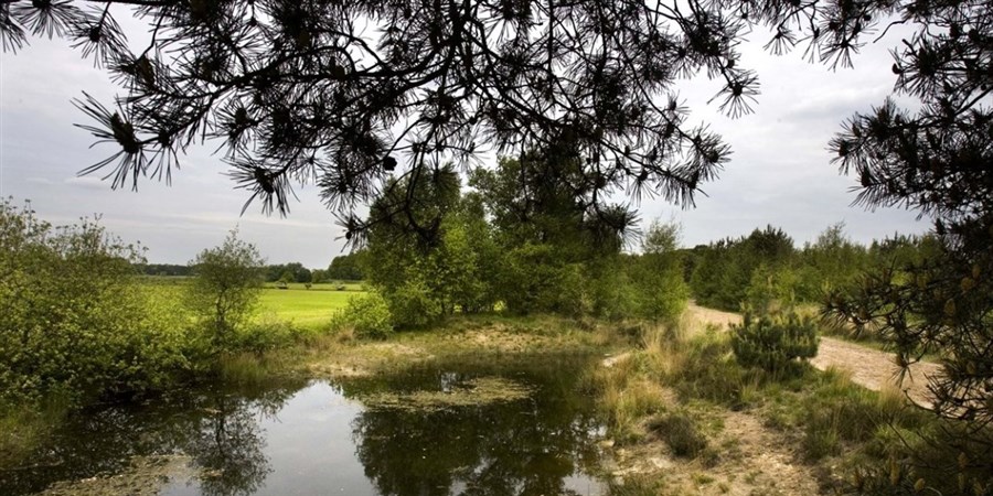 Bericht Ecologische Autoriteit: Adviezen drie Brabantse natuurgebieden bekijken